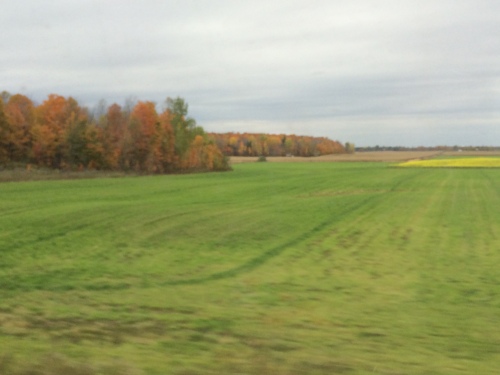 On the train between Toronto and Montreal